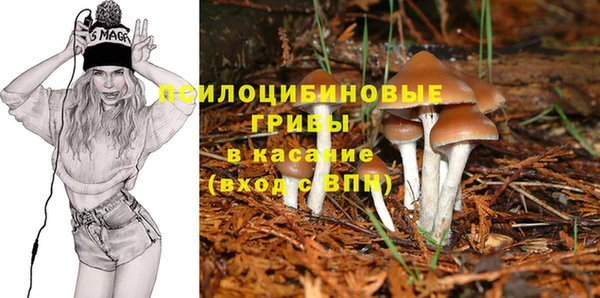 ГАЛЛЮЦИНОГЕННЫЕ ГРИБЫ Киренск