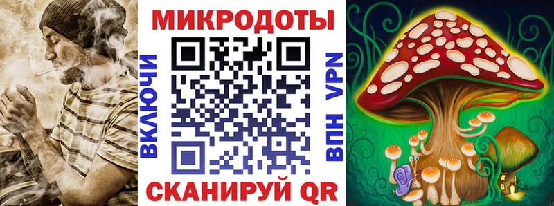 Псилоцибиновые грибы Psilocybe  Купить  Новомичуринск 
